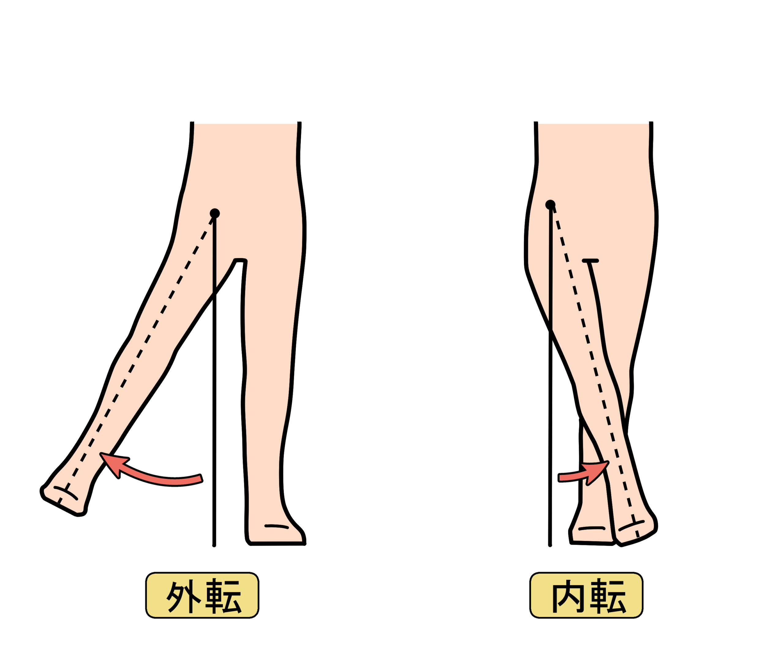 股関節内外転動作